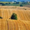 З 15 січня зросте нормативно грошова оцінка