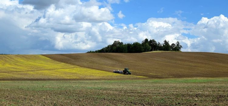 Невитребувані нерозподілені земельні ділянки – на оформлення у власників залишилося два роки!