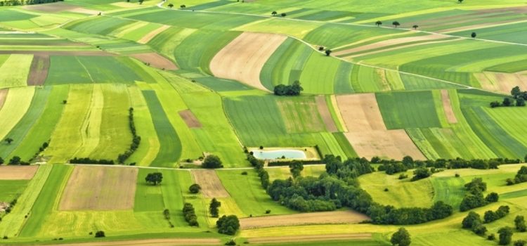 До Держкадастру внесено відомості про 22,5 млн земельних ділянок загальною площею 43,8 млн га