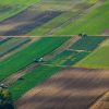 Найдорожчу землю у липні продавали в Івано-Франківській області
