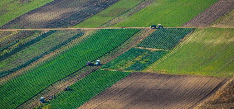 Найдорожчу землю у липні продавали в Івано-Франківській області