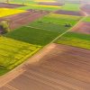 В червні найдорожчу землю продавали в Івано–Франківській області