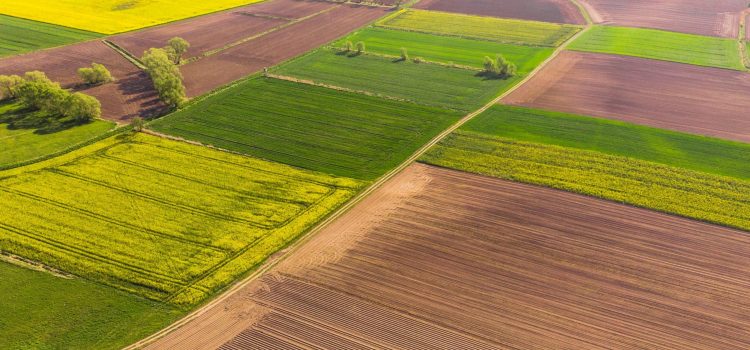 Ринок землі: в Івано-Франківській області продали найменше ділянок